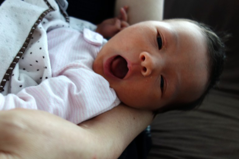 Poop not pictured. For your sake.